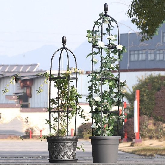 Support plante grimpante