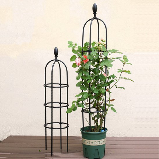 Support plante grimpante
