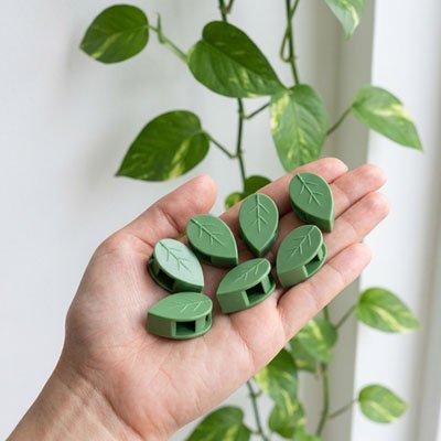 Support plante grimpante 