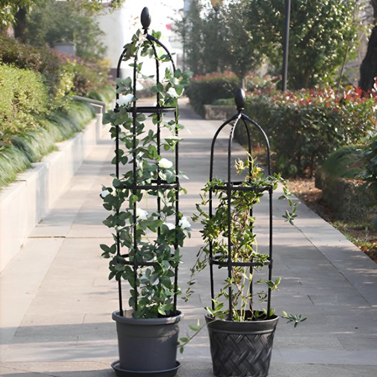Support plante grimpante