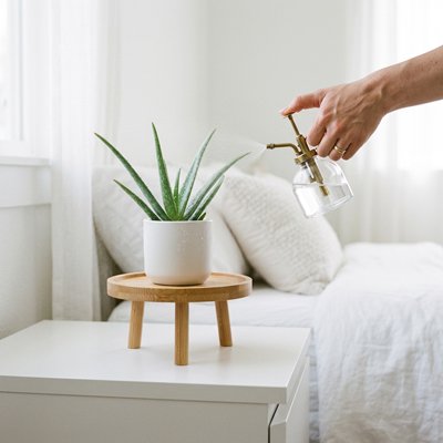 Support plante intérieur