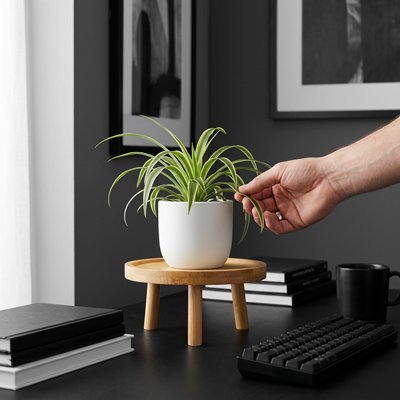 Support plante intérieur