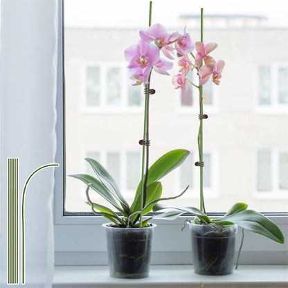 Support plante intérieur