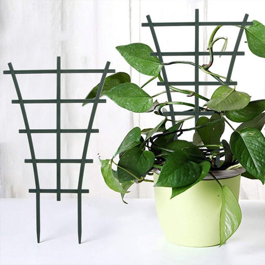Supports pour plantes 