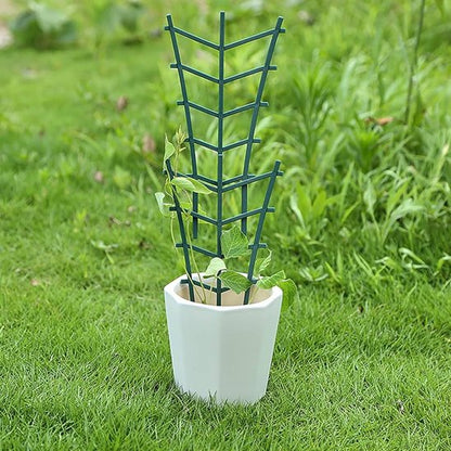Supports pour plantes 