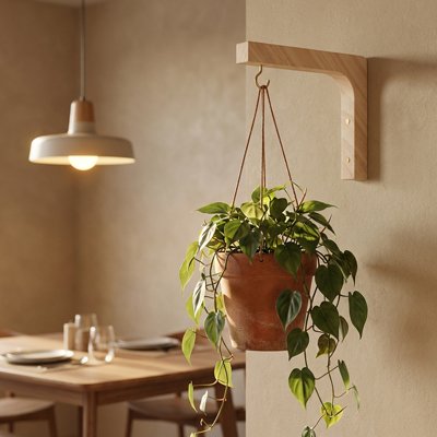 Suspension plante​ 