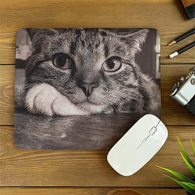 Tapis de souris