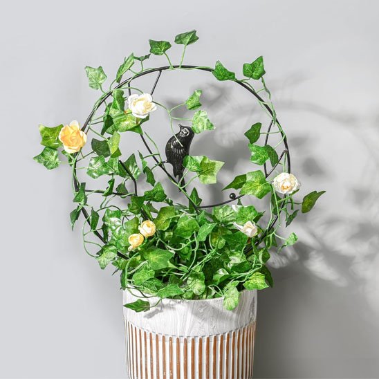 Tuteur plante grimpante