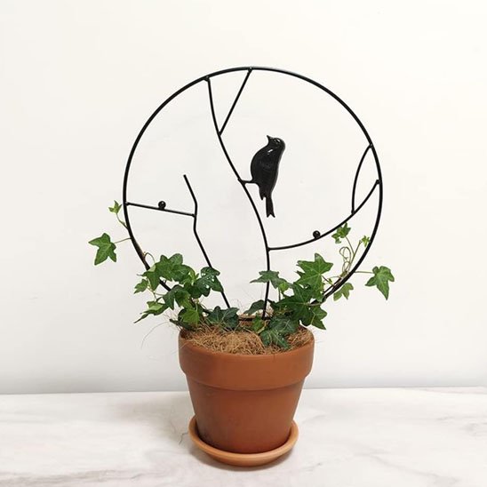 Tuteur plante grimpante