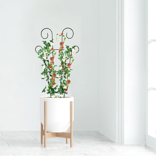 Tuteur plante 
