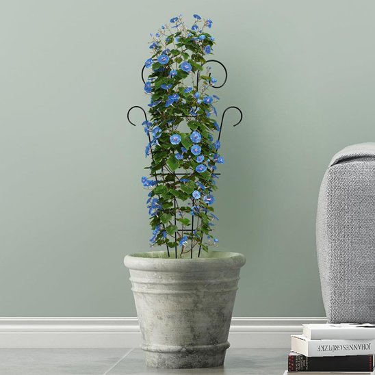 Tuteur plante 
