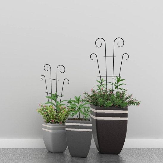 Tuteur plante 