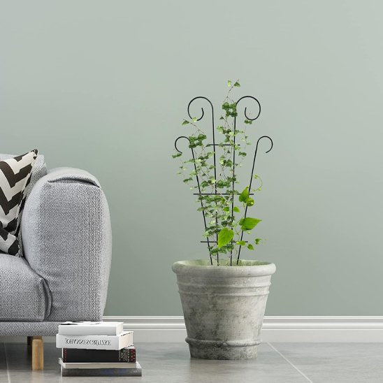 Tuteur plante 