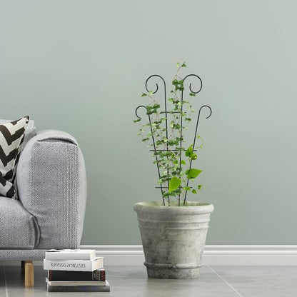 Tuteur plante 